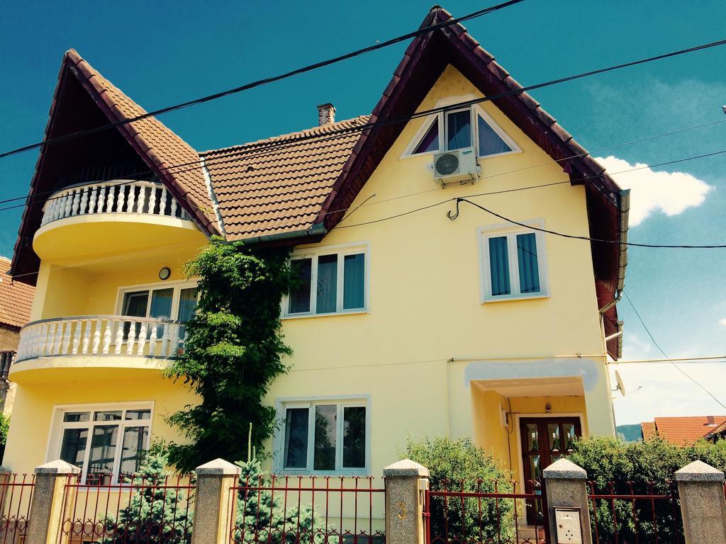 Pensiunea Vila Silva I Hateg Exterior photo